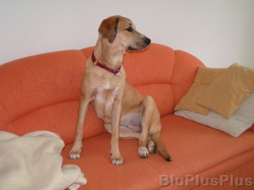 Zum Bild in Originalgr��e hier klicken...